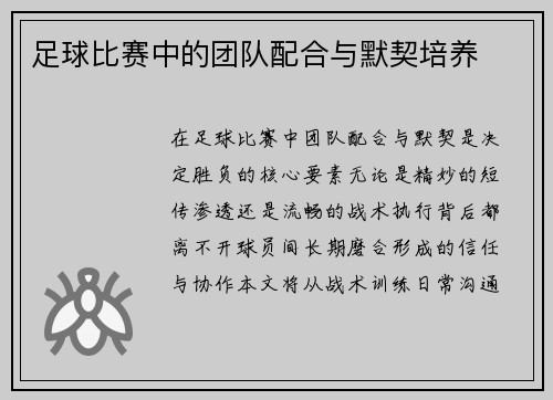 足球比赛中的团队配合与默契培养